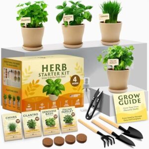 HOME GROWN Herb Garden Planter B0FQ5M1RHS