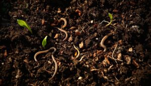 improve soil structure naturally improve soil structure naturally
