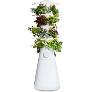 Lettuce Grow Farmstand Nook 4ft.7” B0CKDP1MNW