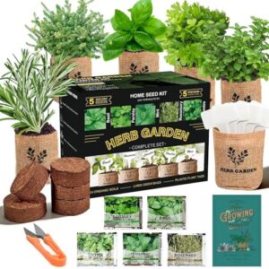 Meekear 5 Herb Indoor Starter B0GJ54QVBX
