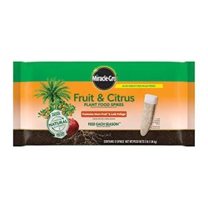 Miracle Gro Fruit & Citrus Plant B077XM4WYK