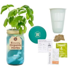 Modern Sprout Mason Garden Jar B0CVQXXDK6