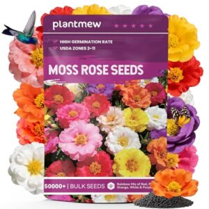 Moss Rose Seeds Bulk Pack B0FZQ7KBG5