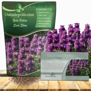 Outsidepride Lemon Bee Balm Seeds B004HJIF9I