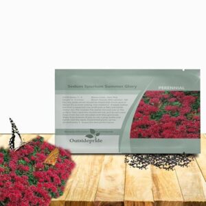 Outsidepride Summer Glory Sedum Seeds B004XKC16E