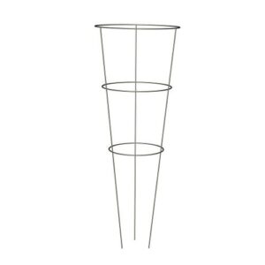 Panacea Products 89723 Tomato and B000NHSKRA