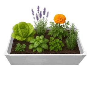 Raised Garden Bed 2x4 B0F248XYCY