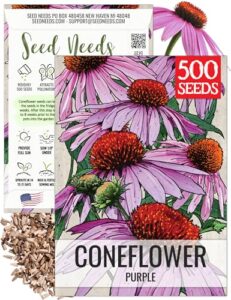 Seed Needs Coneflower Seeds for B09RJQKB49
