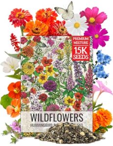 Seed Needs Flower Seeds Hummingbird B0BDGC72GJ