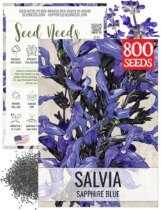 Seed Needs Sapphire Blue Sage B09SRTRB45