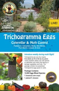 Trichogramma 3 Squares/ 12,000 Eggs B015YGIYQ6
