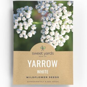 Yarrow White Large 1,000mg B0DHLFR8VH