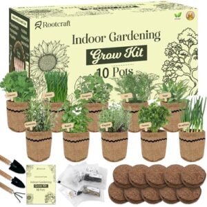 10 Herb Garden Planter Indoor B0DK4XRHN9