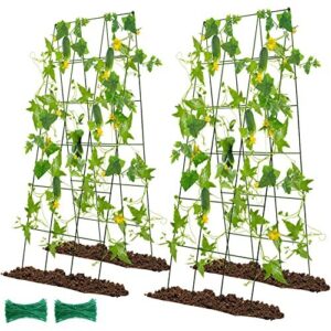 48" Hx 18" L Cucumber B09TPCJWK8