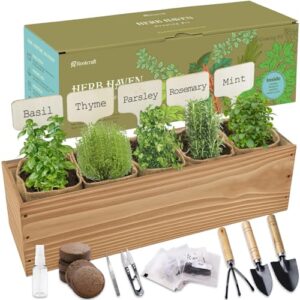 5 Herb Garden Planter Indoor B0DZ1VX1GX