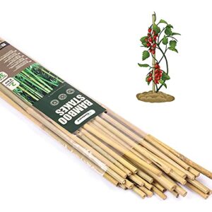 Cambaverd Bamboo Sticks for Plants B09W28KLJK