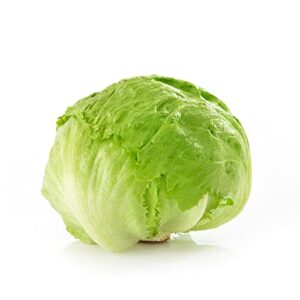 Iceberg Lettuce, 1 Head B07FXYLSMB