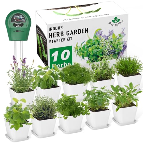 Indoor Herb Garden Kit –