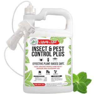 Mighty Mint Peppermint Oil Insect B0BG3GY6QP