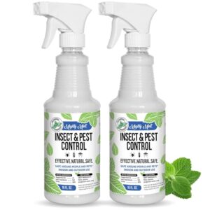 Mighty Mint Peppermint Oil Insect B0F1F2NZ4H