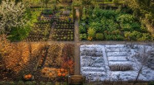 monthly garden task list monthly garden task list