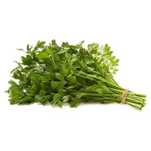 Natures Reward Italian Parsley, 1 B08731FV2H