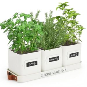 PERFNIQUE Indoor Herb Garden, Herb B0CQX5ZYHP