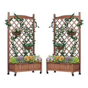 Raised Garden Bed with Trellies B0D5R66X2H