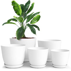 Utopia Home Plant Pots Indoor B0B9NRDVZP
