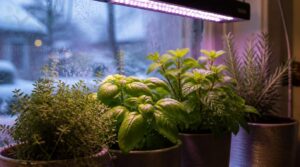 when to use grow lights when to use grow lights