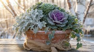 winter container care tips winter container care tips