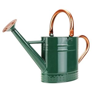 1 Gallon Metal Watering Can B08LBG671T