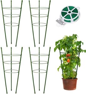 18" Small Plant Support Tomato B0B1ZG4JXF