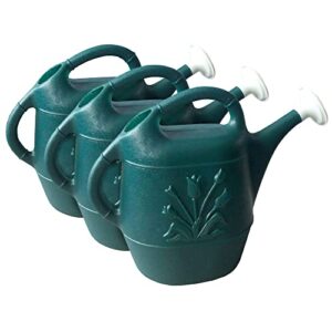 2 Gallon Watering Can B0839NQBTX