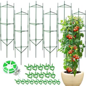 6 Pack Tomato Cage for B0DYJRNTD5
