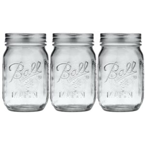 Ball Glass Mason Jar, Regular B07F3MX4DY