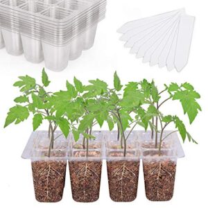 Bonviee 12 Packs Seed Starter B0FHQ43CMF