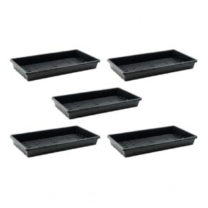 Bootstrap Farmer 5 Pack Seed B01BKOG616