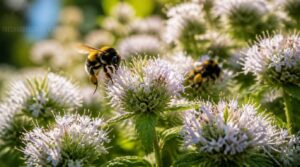clustered blooms save energy clustered blooms save energy