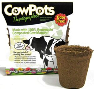 CowPots TV208926 Round Cowpot, 3" B00IYY8MIG