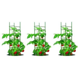 Gardener's Blue Ribbon 3 Pack Ultomato B00GRPENAU