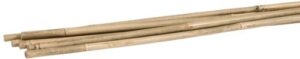 Gardener's Blue Ribbon BB5 6 Pack B000DZCEII
