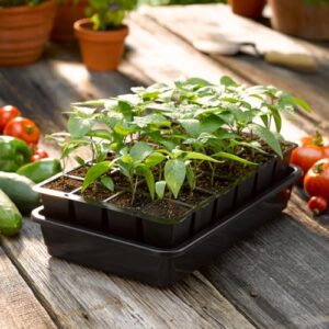 Gardener's Supply Company GrowEase Self B00REVD294