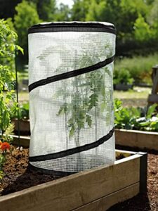 Gardener's Supply Company Pop Up Tomato B00RQSV210