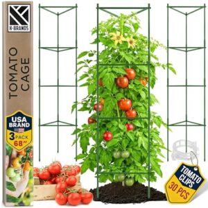 K Brands Tomato Cage Tomatoes B07QHKJ77B