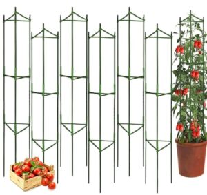 Moirsunt 6 Packs Tomato Cage B08WZ9B7DQ