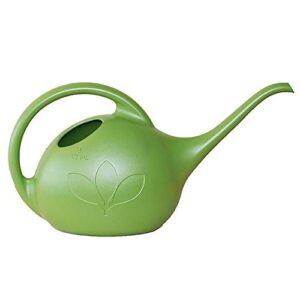 Novelty 30601 Indoor Watering Can, B06Y314CXJ
