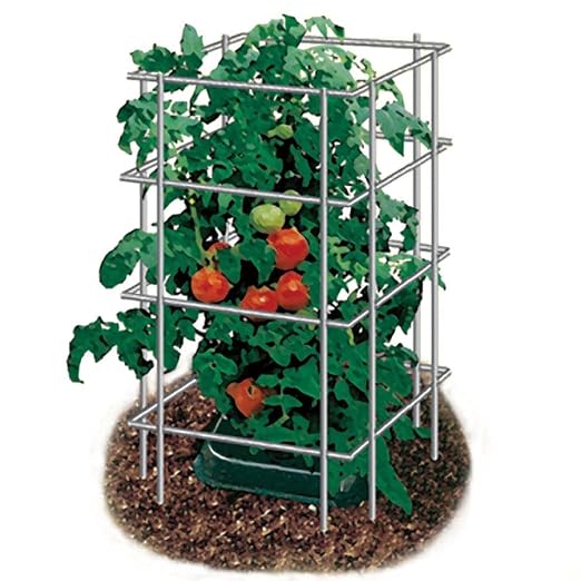 Park Seed Tomato Cages –