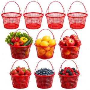 Plastic Berry Baskets 10Pcs Fruit B0CYNRRVLC
