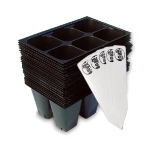 Seed Starter Trays, 144 Cells B06ZY648GC